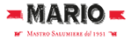 mario_logo_150